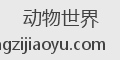 动物世界