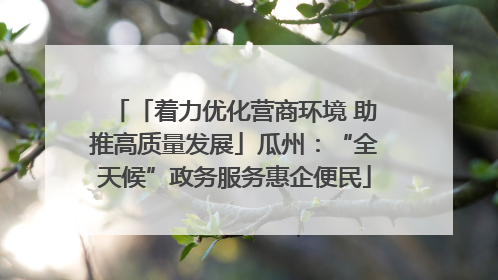 「着力优化营商环境 助推高质量发展」瓜州：“全天候”政务服务惠企便民