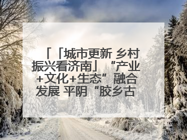 「城市更新 乡村振兴看济南」“产业+文化+生态”融合发展 平阴“胶乡古镇”探索振兴路径成效显著