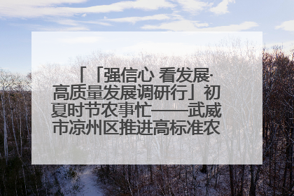 「强信心 看发展·高质量发展调研行」初夏时节农事忙——武威市凉州区推进高标准农田建设见闻