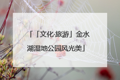 「文化·旅游」金水湖湿地公园风光美