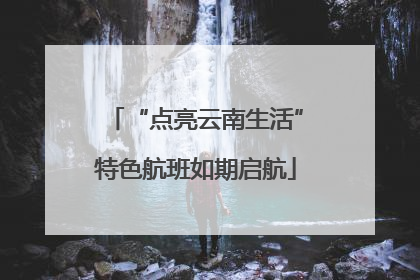 “点亮云南生活”特色航班如期启航