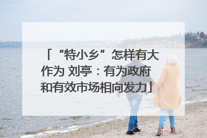 “特小乡”怎样有大作为 刘亭：有为政府和有效市场相向发力