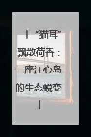 “猫耳”飘散荷香：一座江心岛的生态蜕变