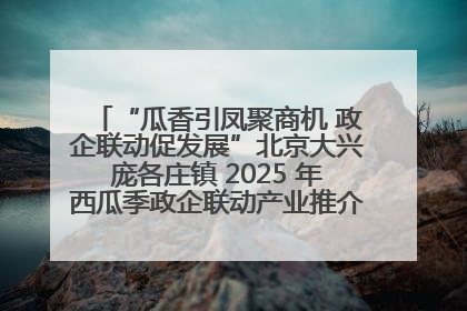 “瓜香引凤聚商机 政企联动促发展”北京大兴庞各庄镇 2025 年西瓜季政企联动产业推介活动圆满举行