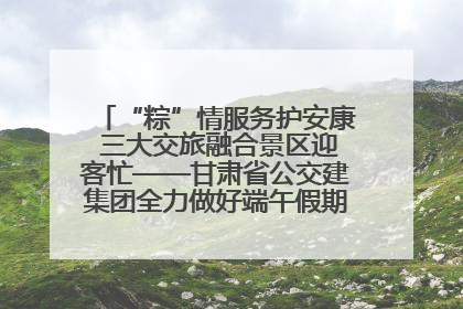 “粽”情服务护安康 三大交旅融合景区迎客忙——甘肃省公交建集团全力做好端午假期景区运营工作