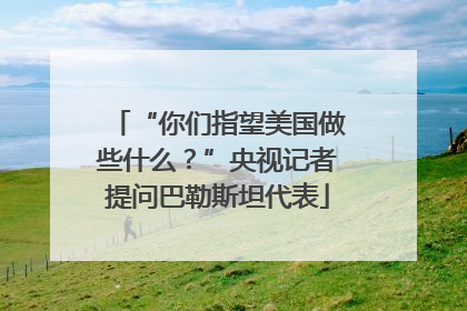 “你们指望美国做些什么？”央视记者提问巴勒斯坦代表