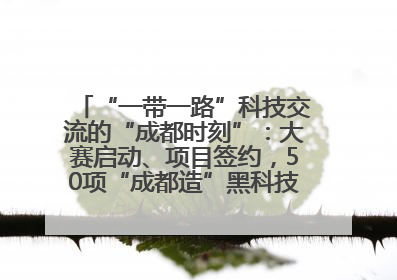 “一带一路”科技交流的“成都时刻”：大赛启动、项目签约，50项“成都造”黑科技吸引多国客商
