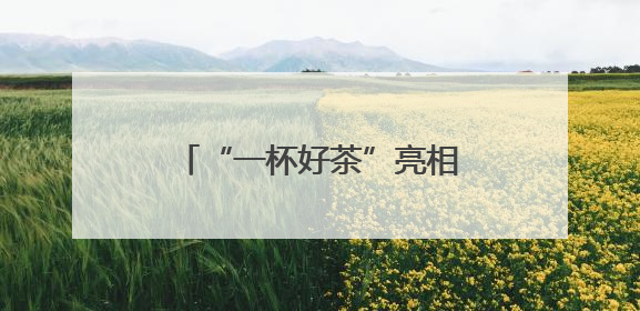 “一杯好茶”亮相深圳文博会 隐茶纸杯融合徽风皖韵