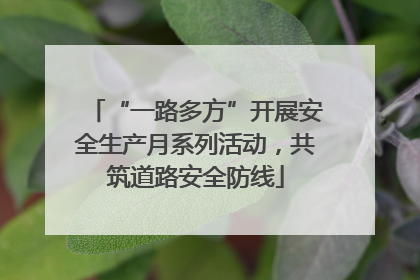 “一路多方”开展安全生产月系列活动，共筑道路安全防线