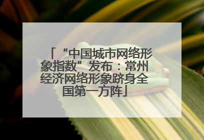 “中国城市网络形象指数”发布：常州经济网络形象跻身全国第一方阵