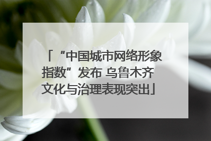 “中国城市网络形象指数”发布 乌鲁木齐文化与治理表现突出
