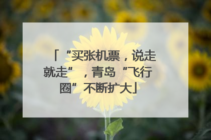 “买张机票，说走就走”，青岛“飞行圈”不断扩大