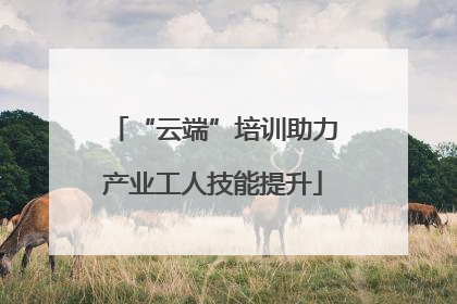 “云端”培训助力产业工人技能提升