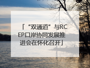 “双通道”与RCEP口岸协同发展推进会在怀化召开