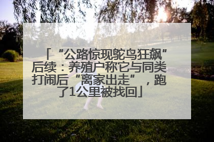 “公路惊现鸵鸟狂飙”后续：养殖户称它与同类打闹后“离家出走”，跑了1公里被找回