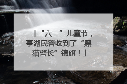 “六一”儿童节，亭湖民警收到了“黑猫警长”锦旗！