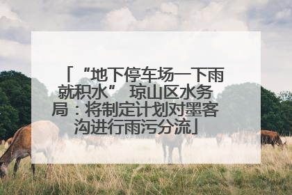 “地下停车场一下雨就积水” 琼山区水务局：将制定计划对墨客沟进行雨污分流