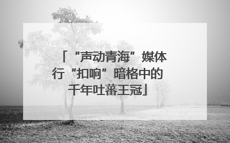“声动青海”媒体行“扣响”暗格中的千年吐蕃王冠