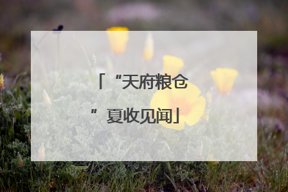 “天府粮仓”夏收见闻