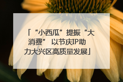 “小西瓜”提振“大消费” 以节庆IP助力大兴区高质量发展