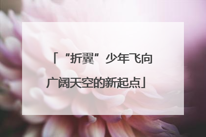 “折翼”少年飞向广阔天空的新起点