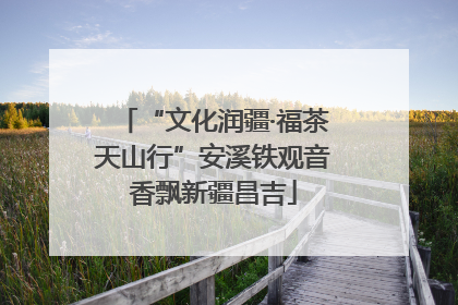 “文化润疆·福茶天山行”安溪铁观音香飘新疆昌吉