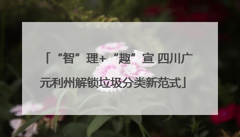 “智”理+“趣”宣 四川广元利州解锁垃圾分类新范式