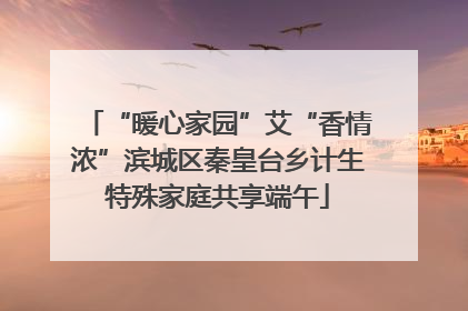 “暖心家园”艾“香情浓”滨城区秦皇台乡计生特殊家庭共享端午
