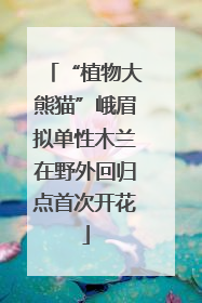 “植物大熊猫”峨眉拟单性木兰在野外回归点首次开花