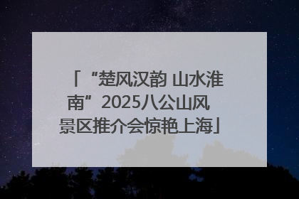 “楚风汉韵 山水淮南”2025八公山风景区推介会惊艳上海