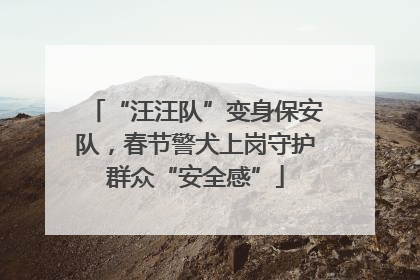 “汪汪队”变身保安队，春节警犬上岗守护群众“安全感”