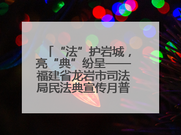 “法”护岩城，亮“典”纷呈——福建省龙岩市司法局民法典宣传月普法活动纪实