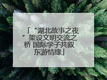 “湖北故事之夜”架设文明交流之桥 国际学子共叙东游情缘