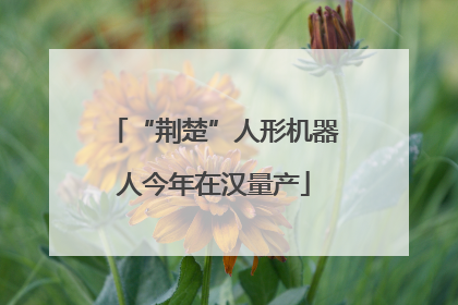 “荆楚”人形机器人今年在汉量产