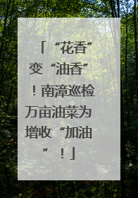 “花香”变“油香”！南漳巡检万亩油菜为增收“加油”！