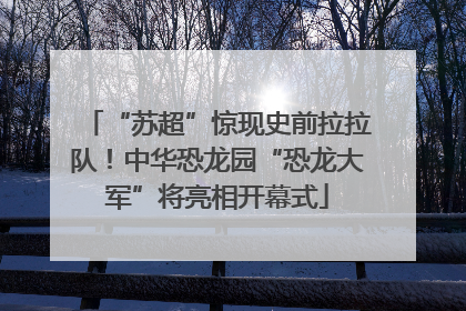 “苏超”惊现史前拉拉队！中华恐龙园“恐龙大军”将亮相开幕式