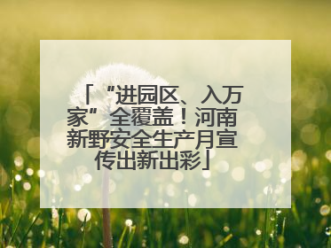 “进园区、入万家”全覆盖！河南新野安全生产月宣传出新出彩