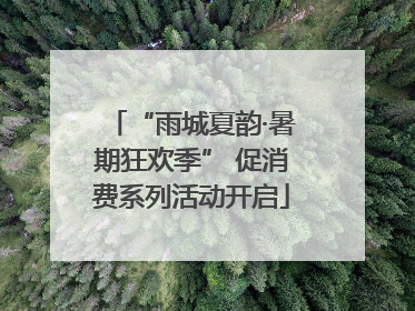 “雨城夏韵·暑期狂欢季” 促消费系列活动开启