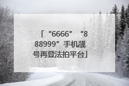 “6666”“888999”手机靓号再登法拍平台