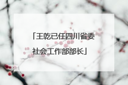王乾已任四川省委社会工作部部长