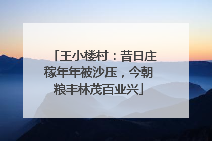 王小楼村：昔日庄稼年年被沙压，今朝粮丰林茂百业兴