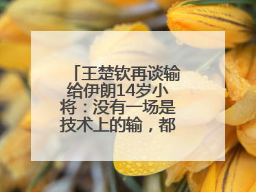 王楚钦再谈输给伊朗14岁小将：没有一场是技术上的输，都是心理上的输