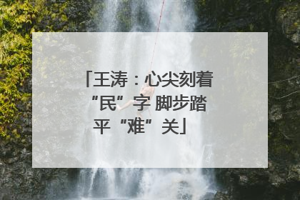 王涛：心尖刻着“民”字 脚步踏平“难”关