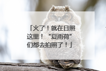 火了！就在日照这里！“夏雨荷”们都去拍照了！