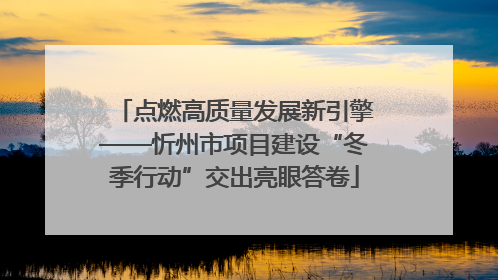 点燃高质量发展新引擎——忻州市项目建设“冬季行动”交出亮眼答卷