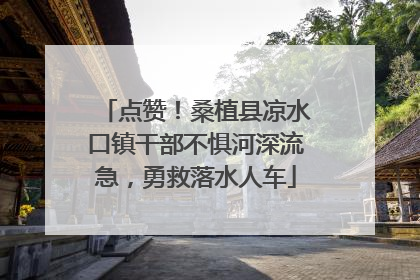 点赞！桑植县凉水口镇干部不惧河深流急，勇救落水人车