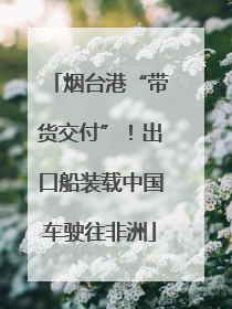 烟台港“带货交付”！出口船装载中国车驶往非洲