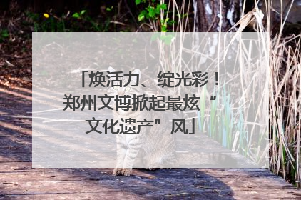 焕活力、绽光彩！郑州文博掀起最炫“文化遗产”风