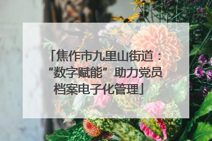 焦作市九里山街道：“数字赋能”助力党员档案电子化管理